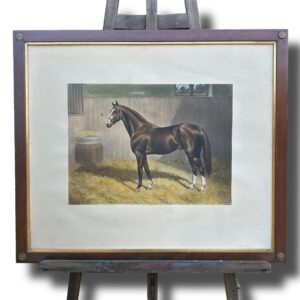 Grabado coloreado “Gallinule”, 1908